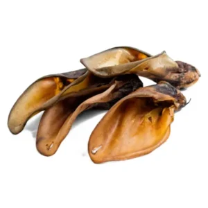Oreille de bœuf - Friandise 100% naturelle pour chiens