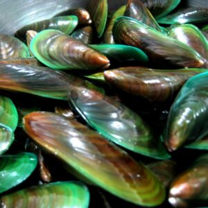 Poudre de moules vertes
